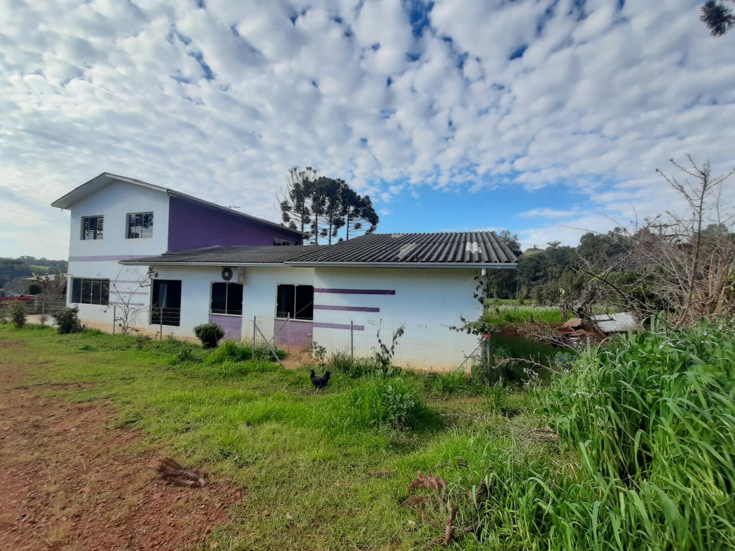 Imóvel 3833