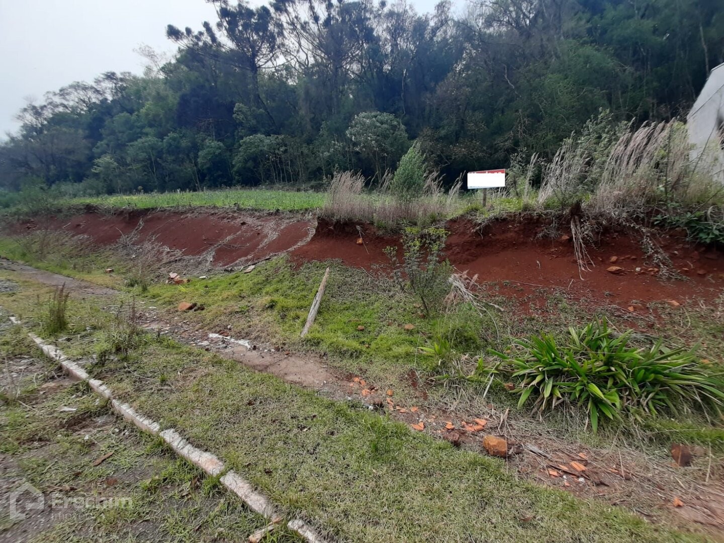 Imóvel 3906