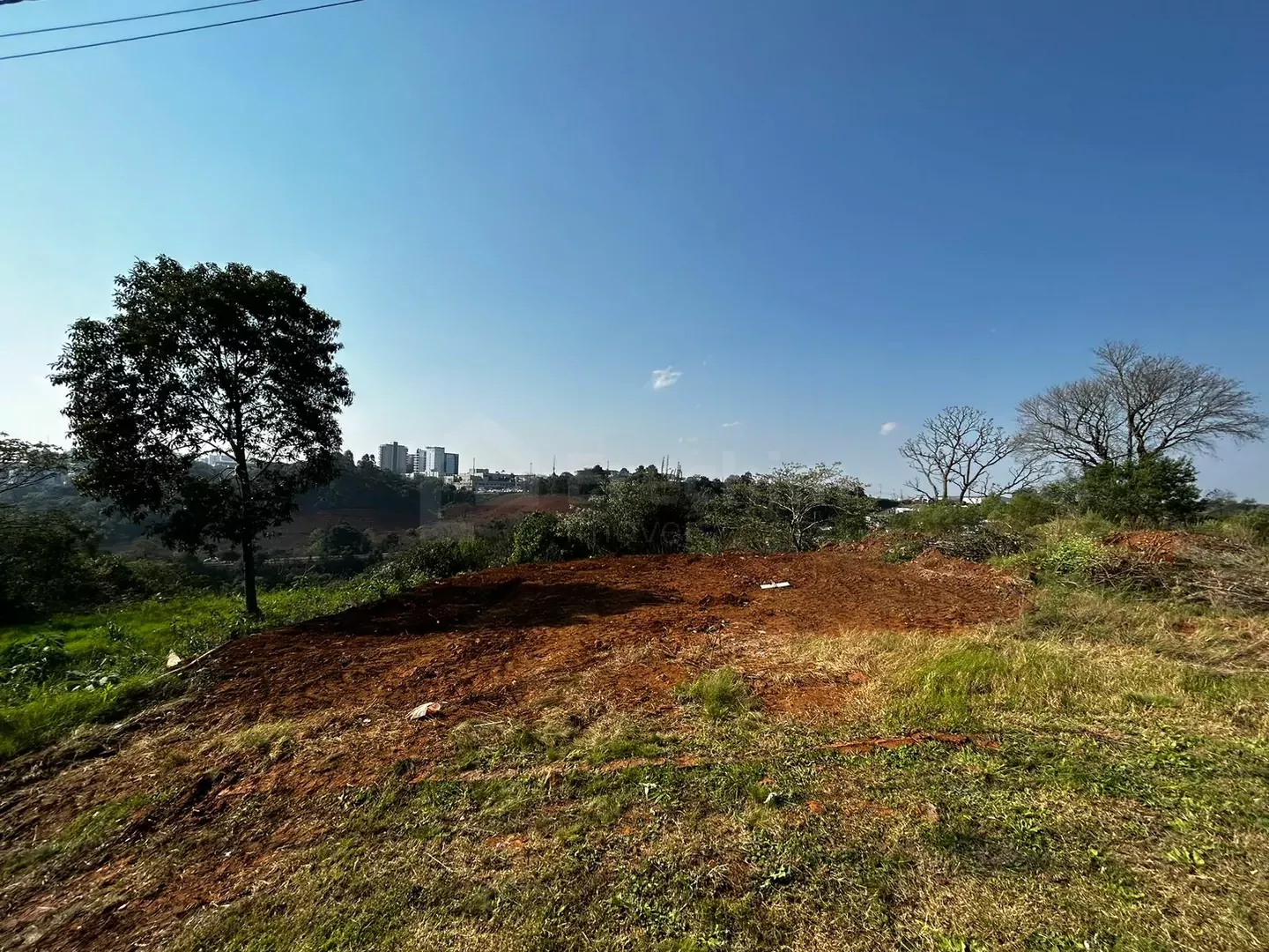 Imóvel 4216