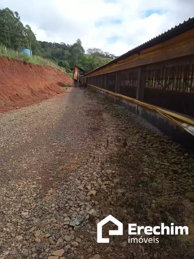Imóvel 4218