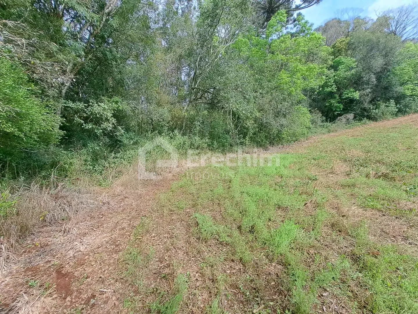 Imóvel 4246