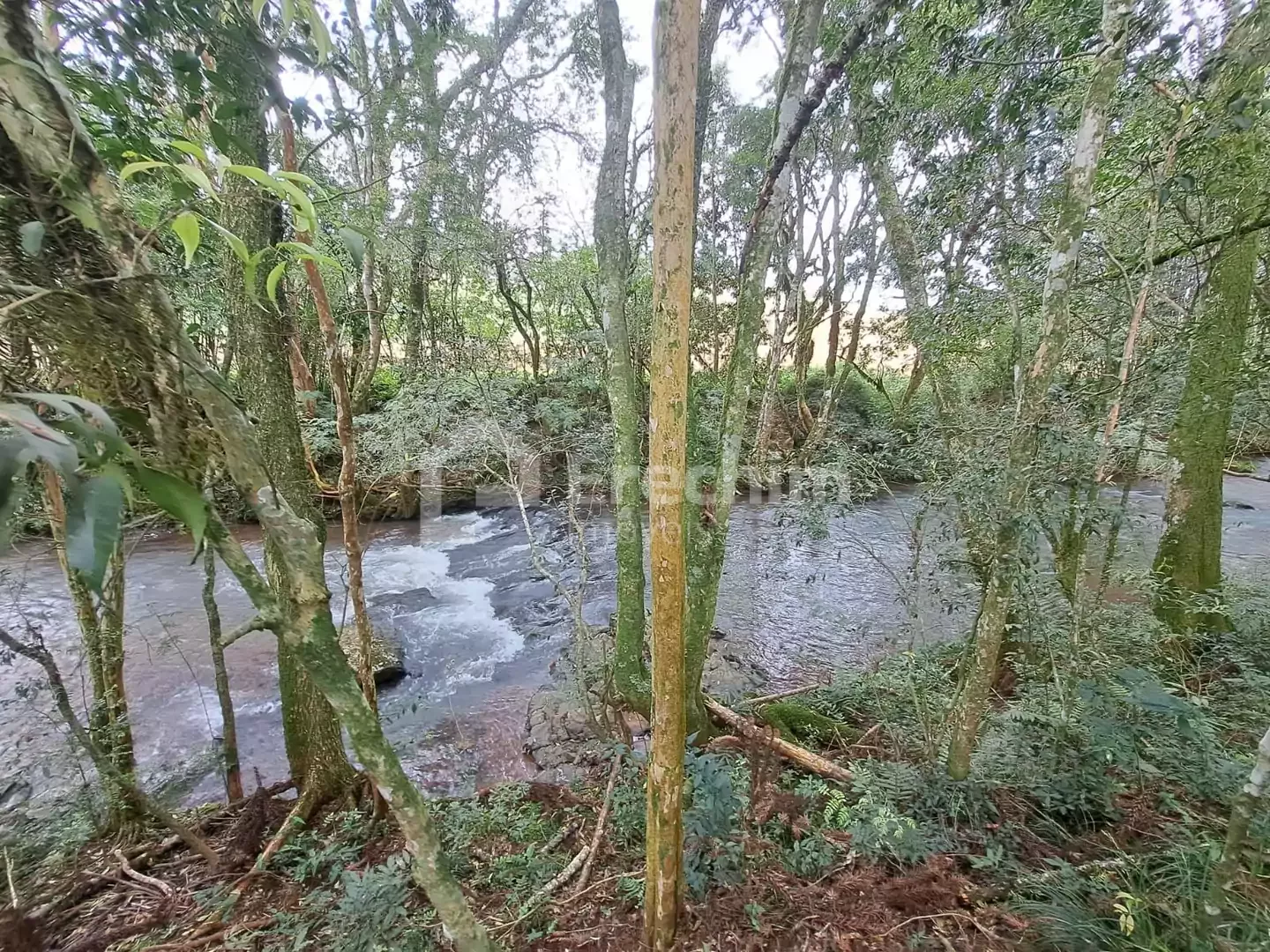 Imóvel 4246