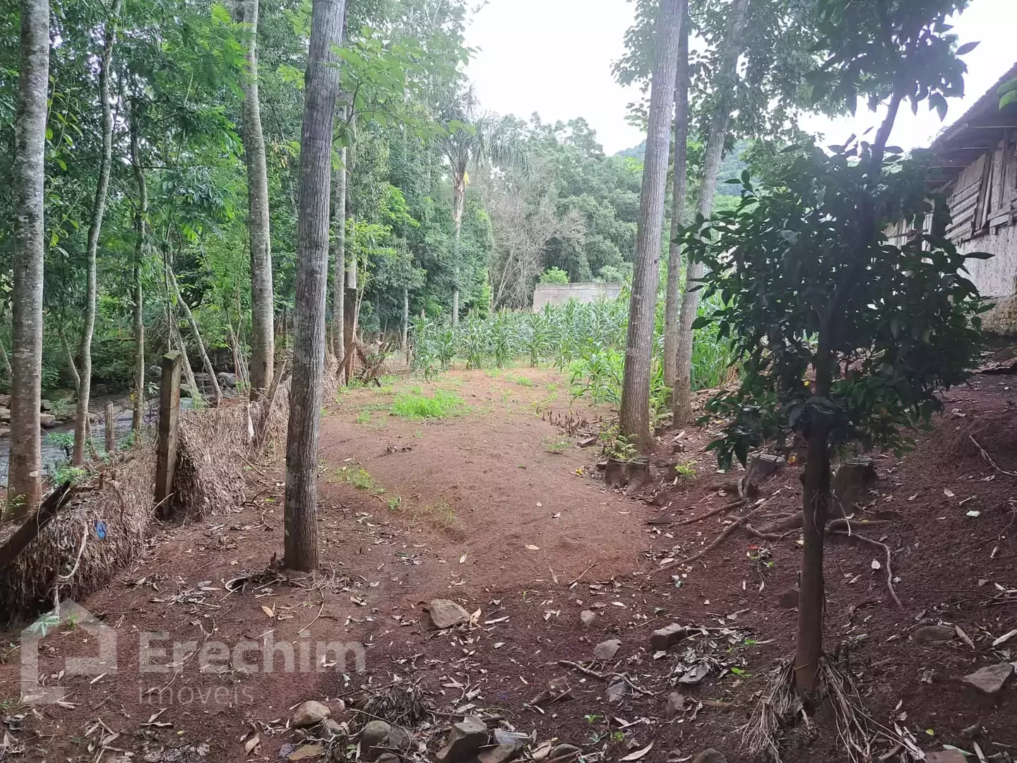 Imóvel 4301