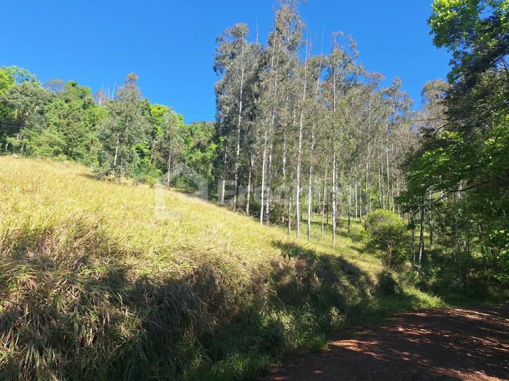 Imóvel 5275